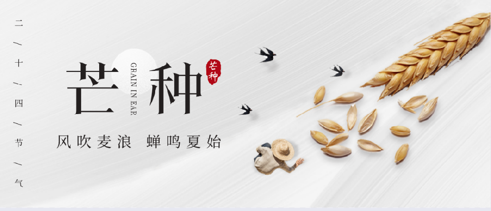 芒種 | 守住土壤健康，保護生態環境