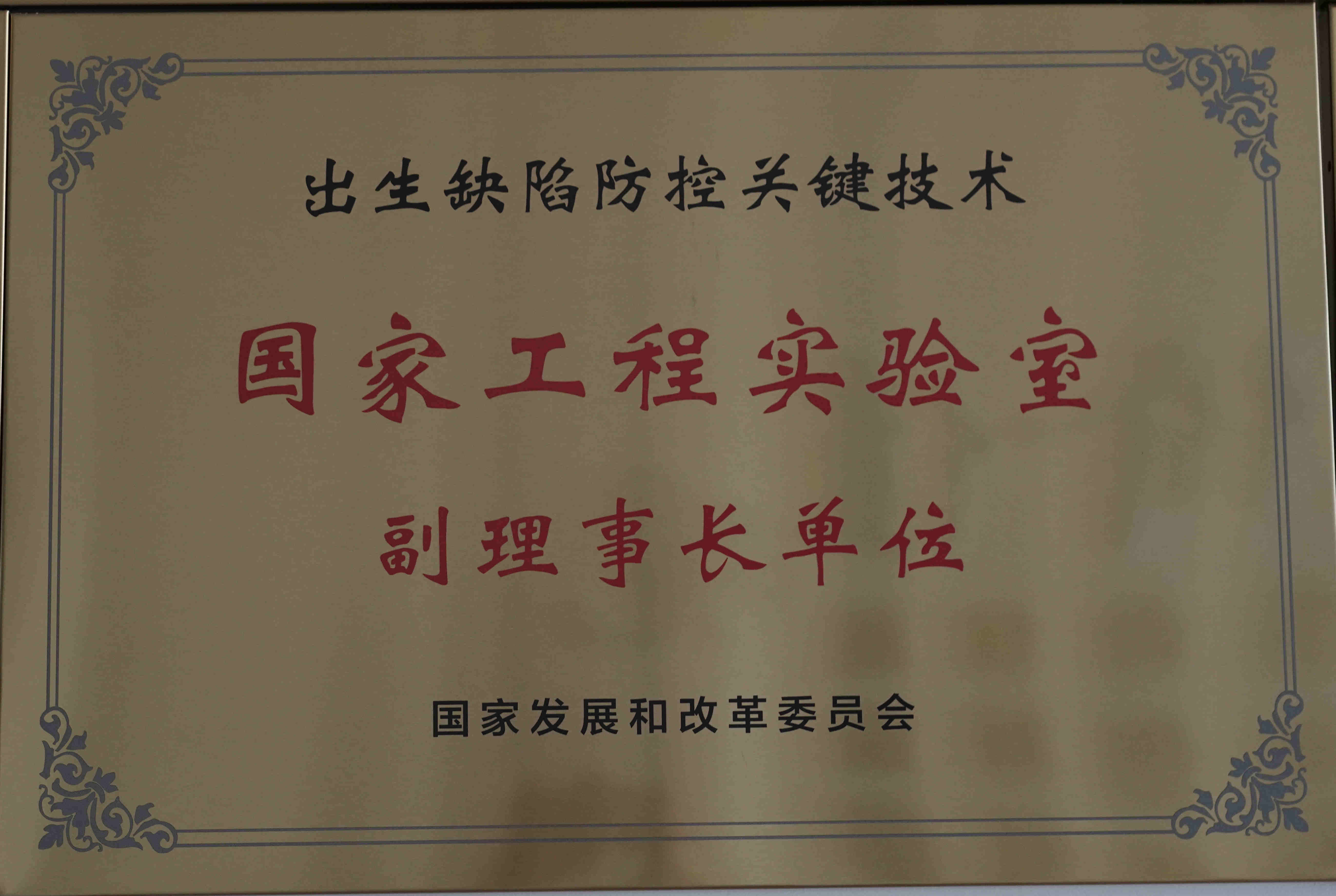 國家工程實(shí)驗(yàn)室副理事長單位